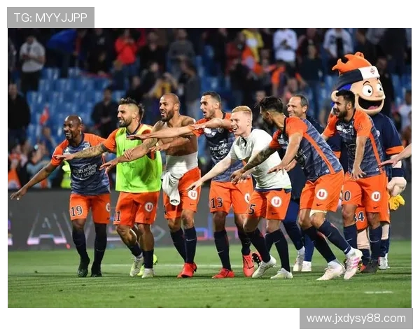 法甲球队间合作模式及资源共享分析